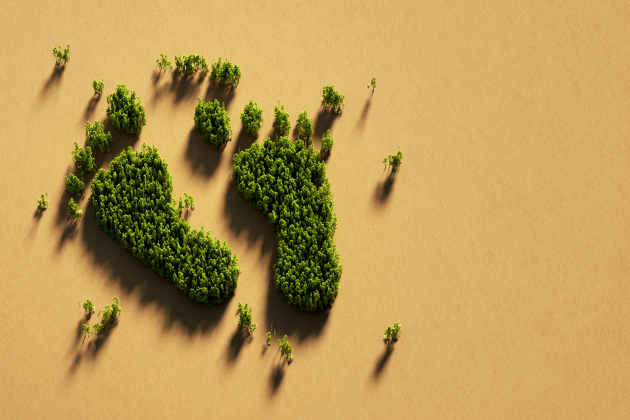 Organizational Carbon Footprint Analysis Feature Image